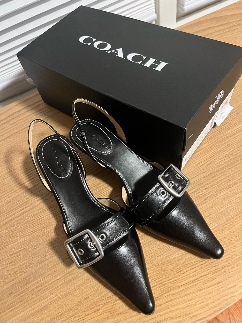 Coach Black Leather Pointed Slingback Mules with Buckle